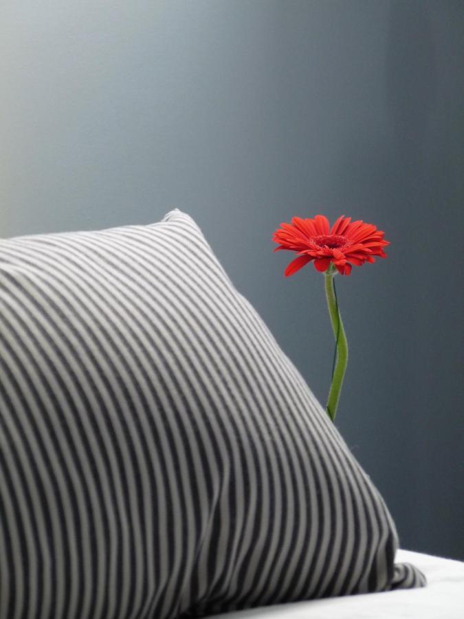 オンフルール The Grey Houseヴィラ エクステリア 写真